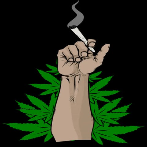 Grow tent and plants